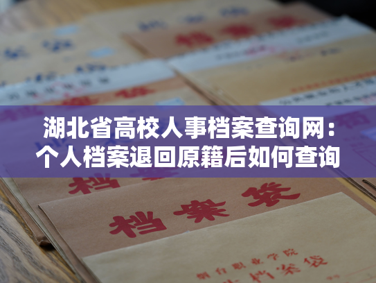 湖北省高校人事档案查询网：个人档案退回原籍后如何查询