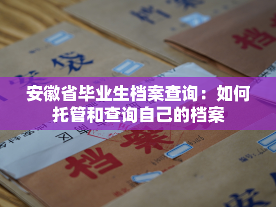 安徽省毕业生档案查询：如何托管和查询自己的档案