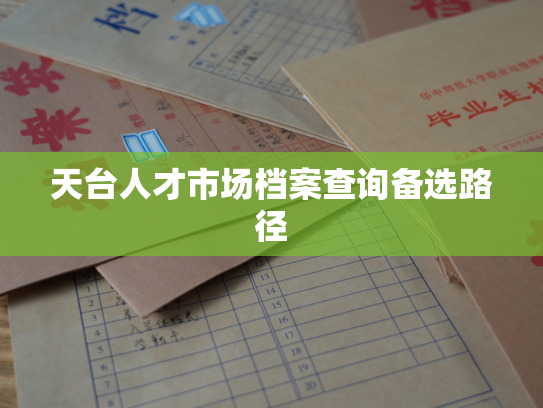 天台人才市场档案查询备选路径