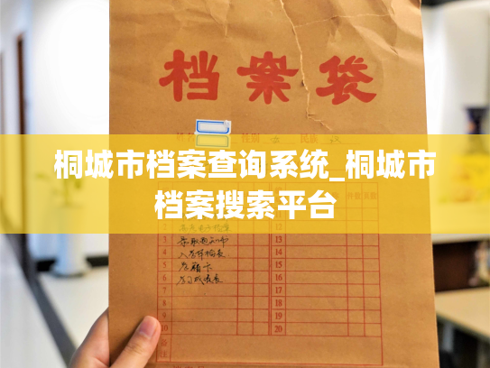 桐城市档案查询系统_桐城市档案搜索平台