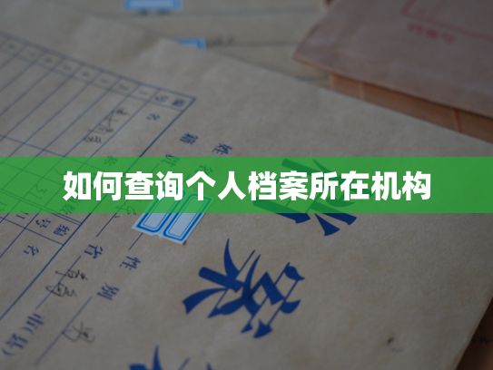 如何查询个人档案所在机构