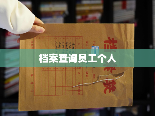 档案查询员工个人