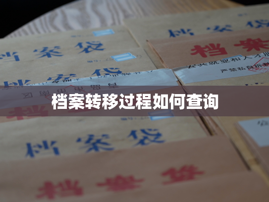 档案转移过程如何查询
