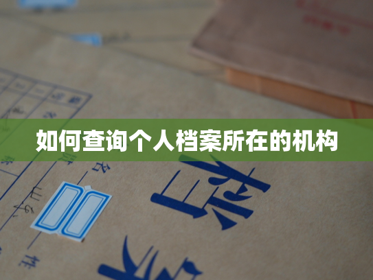 如何查询个人档案所在的机构