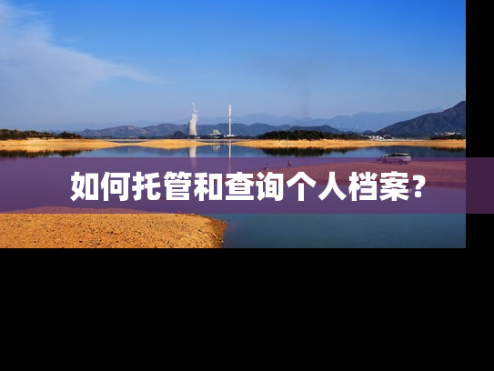 如何托管和查询个人档案？