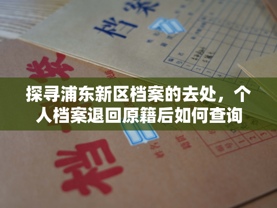 探寻浦东新区档案的去处，个人档案退回原籍后如何查询