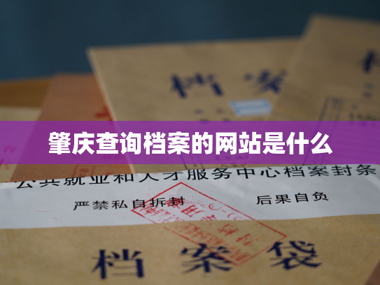 肇庆查询档案的网站是什么