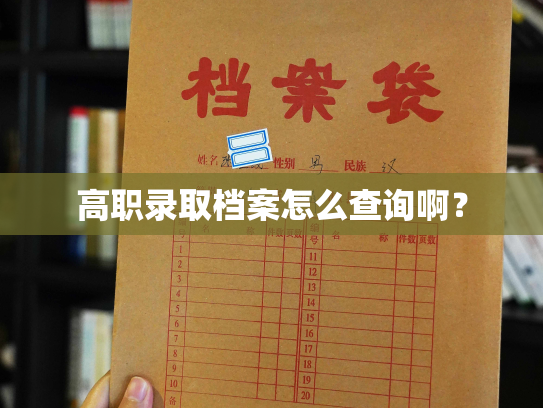 高职录取档案怎么查询啊？