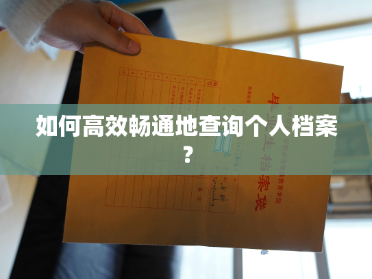 如何高效畅通地查询个人档案？