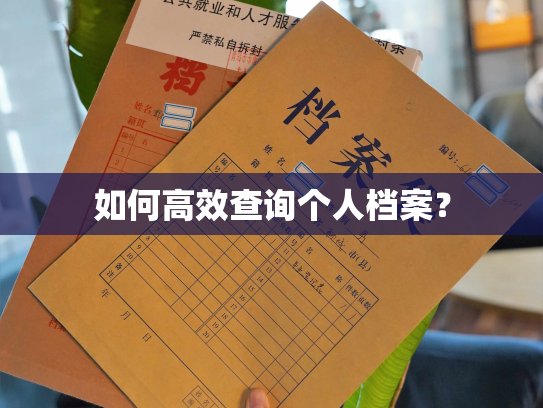 如何高效查询个人档案？