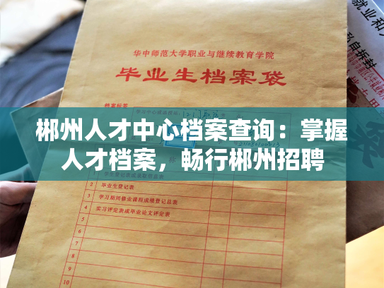 郴州人才中心档案查询：掌握人才档案，畅行郴州招聘