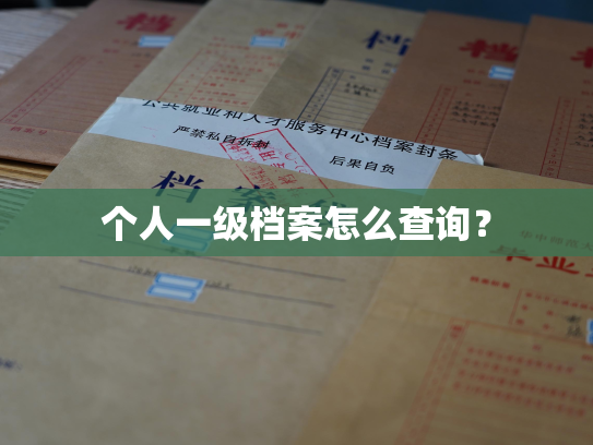 个人一级档案怎么查询？
