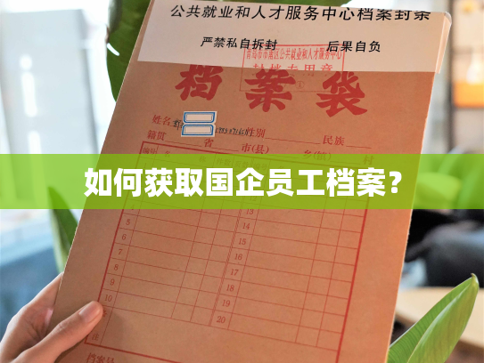 如何获取国企员工档案？