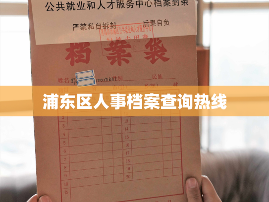 浦东区人事档案查询热线