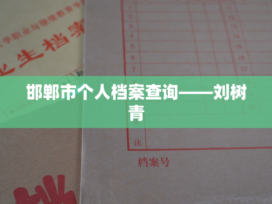 邯郸市个人档案查询——刘树青