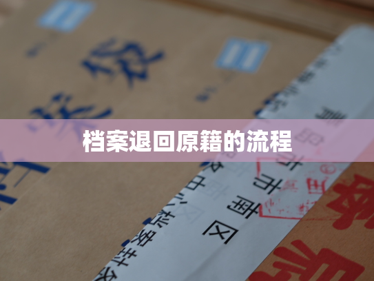 档案退回原籍的流程