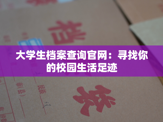 大学生档案查询官网：寻找你的校园生活足迹