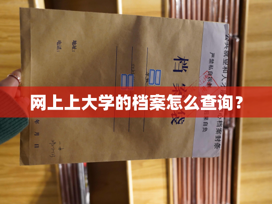 网上上大学的档案怎么查询？