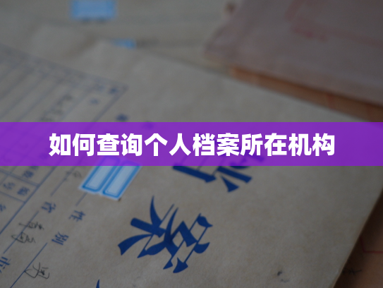 如何查询个人档案所在机构
