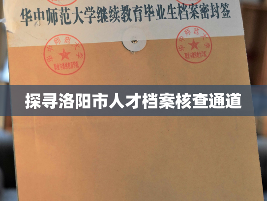 探寻洛阳市人才档案核查通道