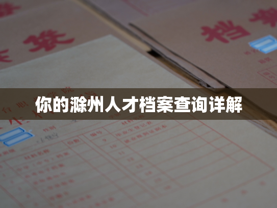 你的滁州人才档案查询详解