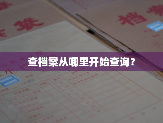 查档案从哪里开始查询？