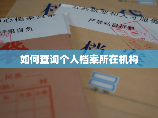 如何查询个人档案所在机构