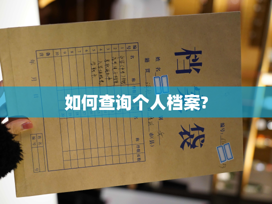 如何查询个人档案?
