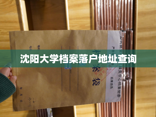 沈阳大学档案落户地址查询