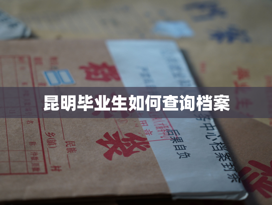昆明毕业生如何查询档案