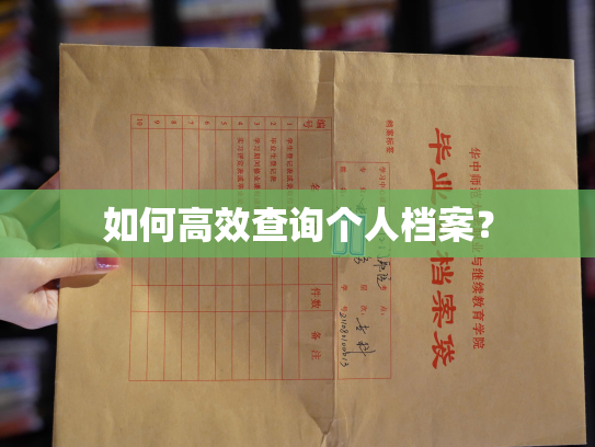 如何高效查询个人档案？