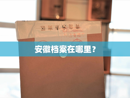 安徽档案在哪里？