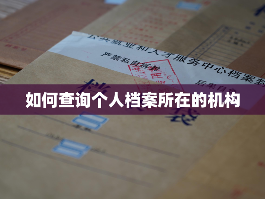 如何查询个人档案所在的机构