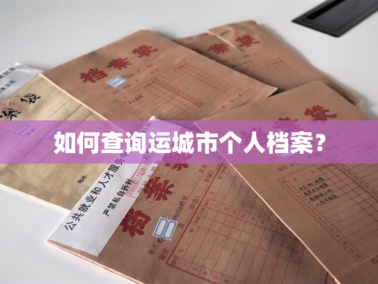 如何查询运城市个人档案？