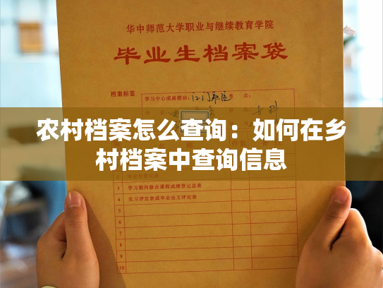 农村档案怎么查询：如何在乡村档案中查询信息