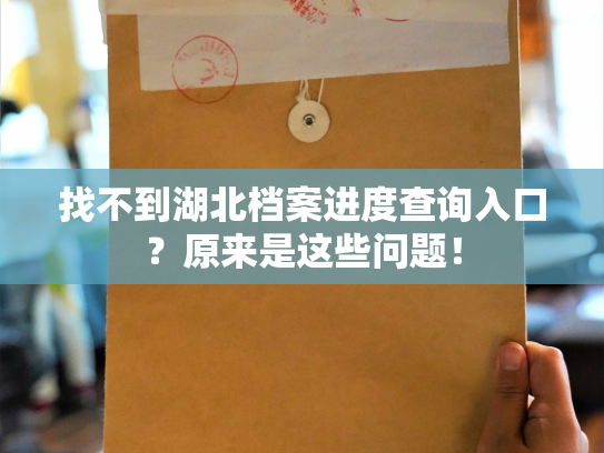 找不到湖北档案进度查询入口？原来是这些问题！