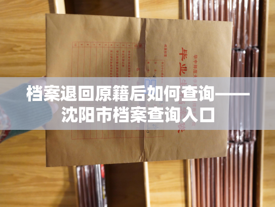 档案退回原籍后如何查询——沈阳市档案查询入口