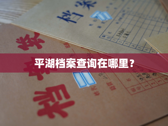 平湖档案查询在哪里？