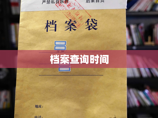 档案查询时间