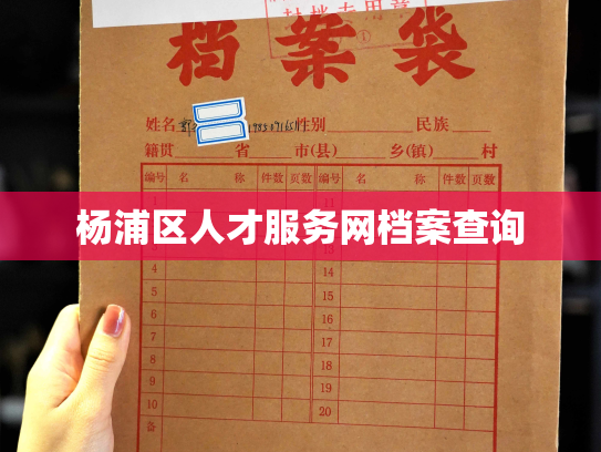 杨浦区人才服务网档案查询