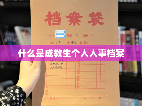 什么是成教生个人人事档案