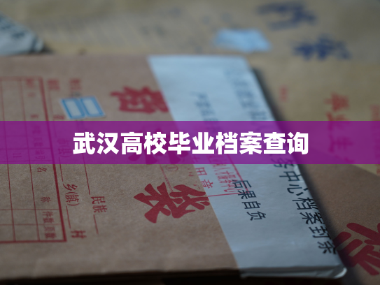 武汉高校毕业档案查询