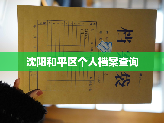 沈阳和平区个人档案查询