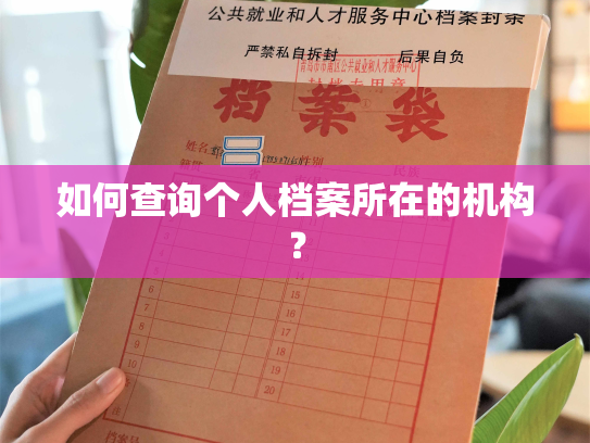 如何查询个人档案所在的机构？