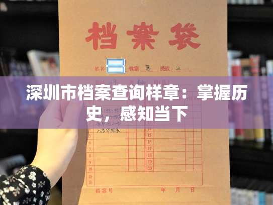 深圳市档案查询样章：掌握历史，感知当下