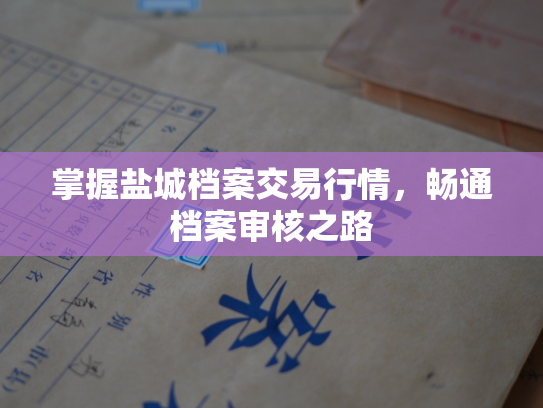掌握盐城档案交易行情，畅通档案审核之路
