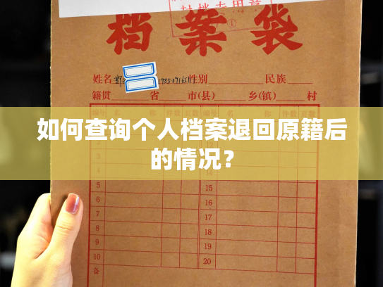 如何查询个人档案退回原籍后的情况？