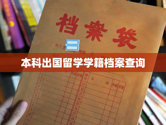 本科出国留学学籍档案查询