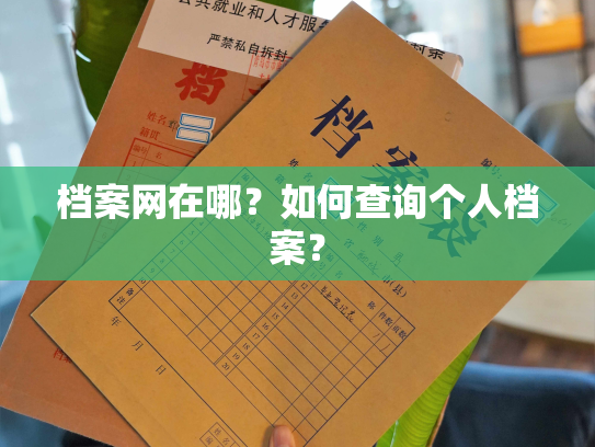 档案网在哪？如何查询个人档案？