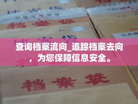 查询档案流向_追踪档案去向，为您保障信息安全。